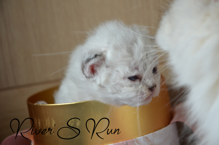 Vicktoria 23 janvier 2024 (2).jpg